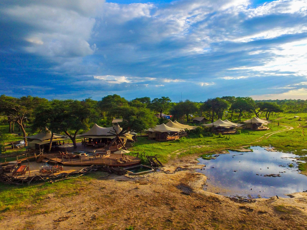 Somalisa Camp and Somalisa Acacia - African Bush Camps