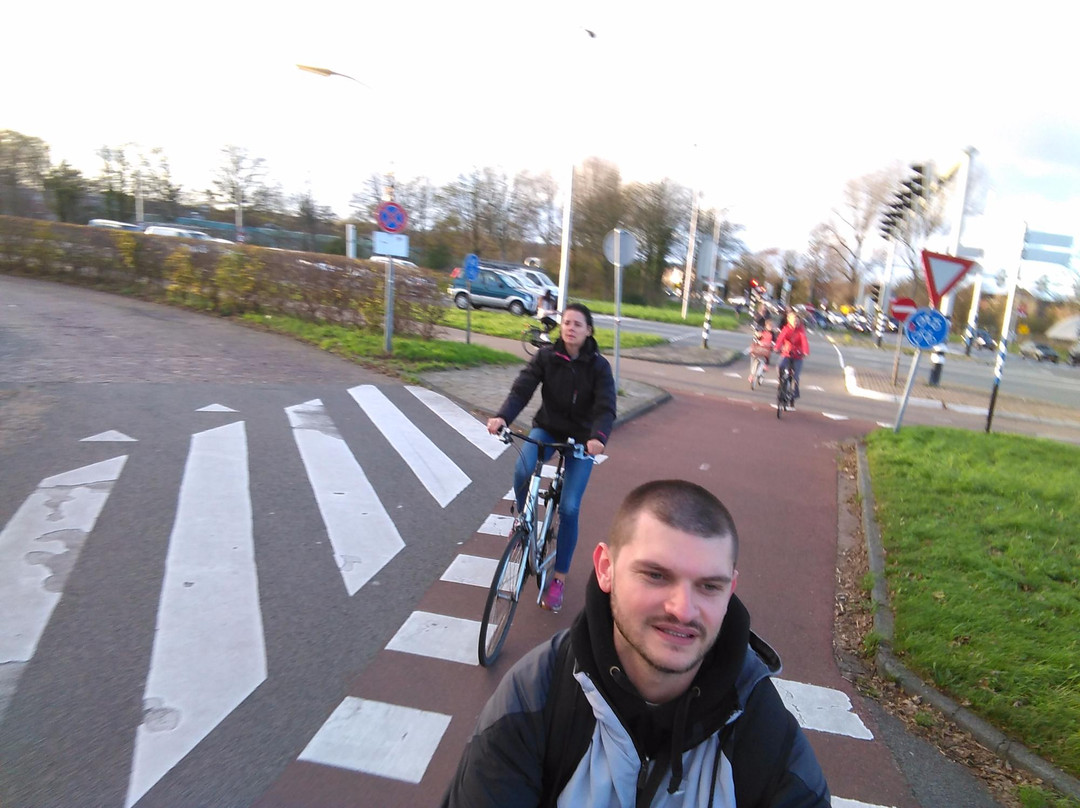 Rent a Bike Haarlem景点图片