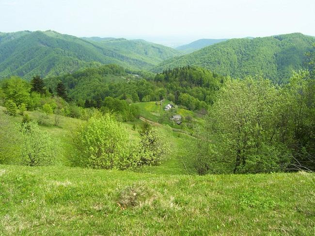 Tarashany旅游景点-Vyzhnytsia National Park