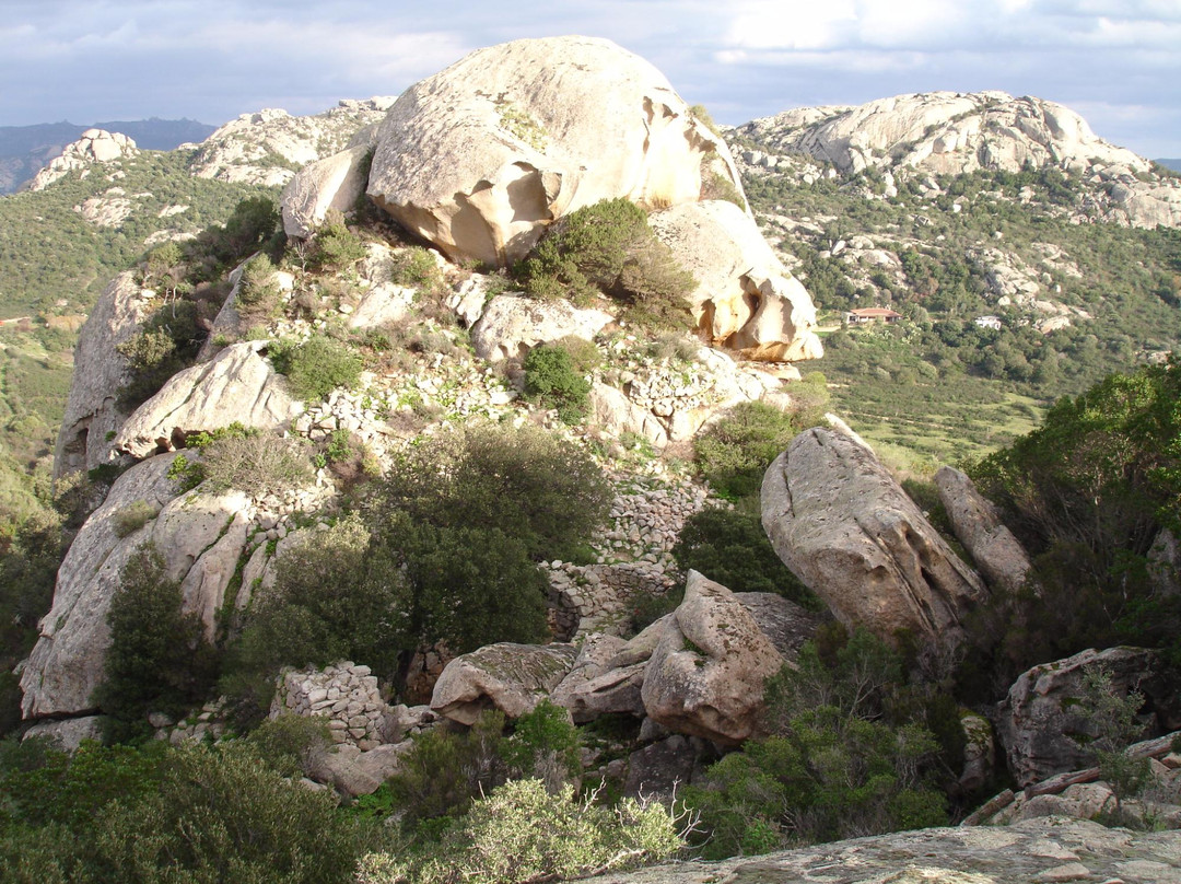 Tempio Nuragico Malchittu景点图片