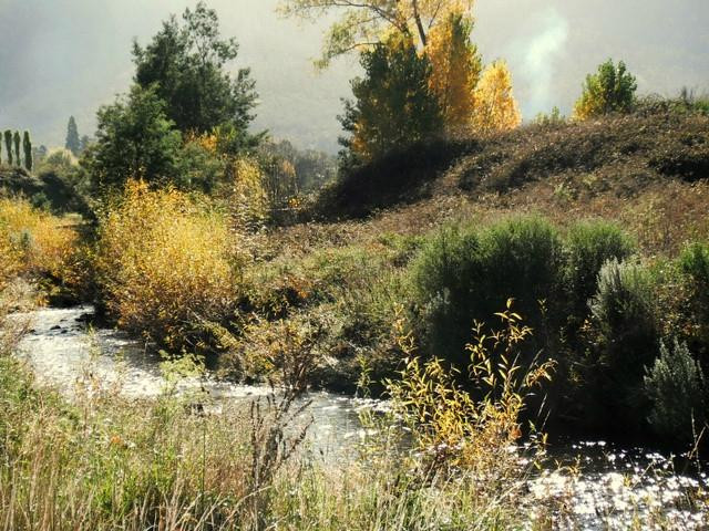 Tynwald Park-New Norfolk必去景点