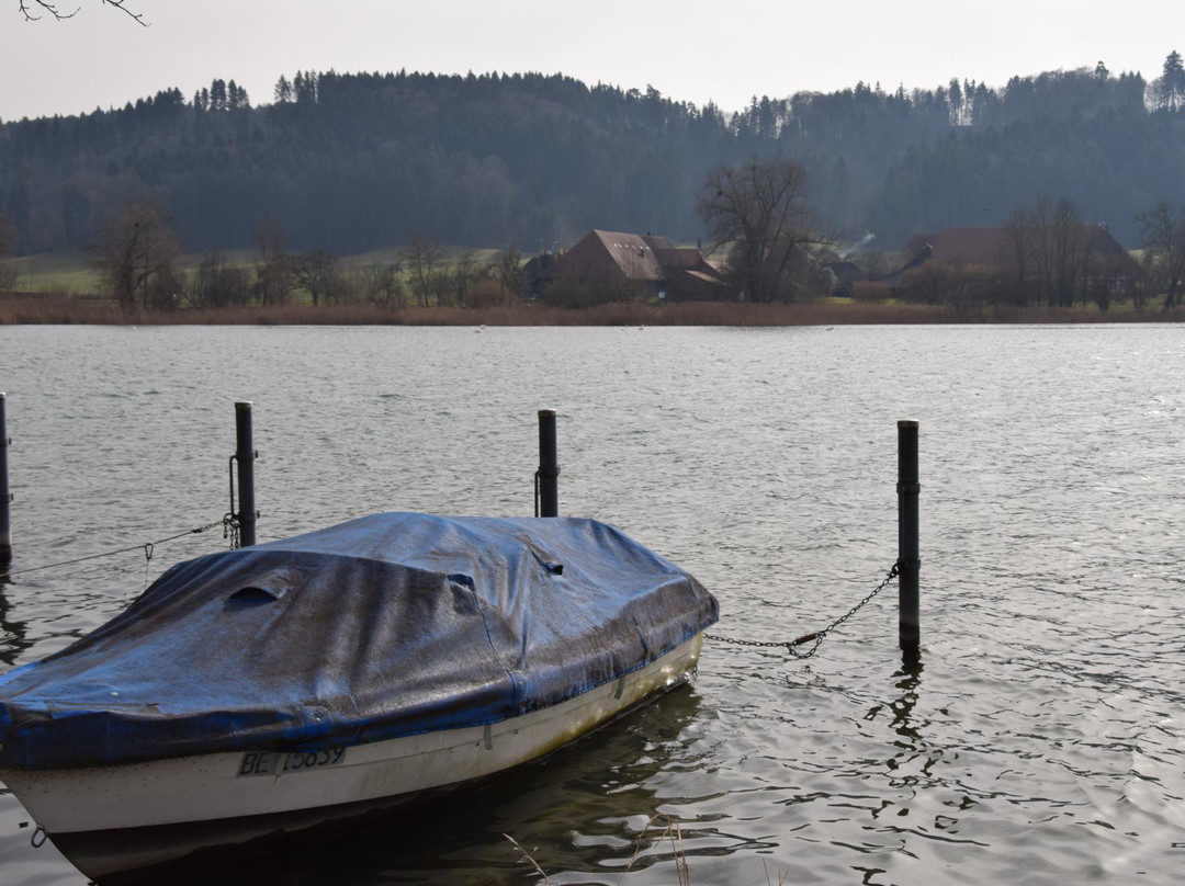 Lake Wohlen-Wohlen必去景点