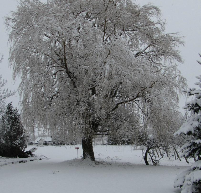 Sainte-Famille Wines Limited-Falmouth必去景点