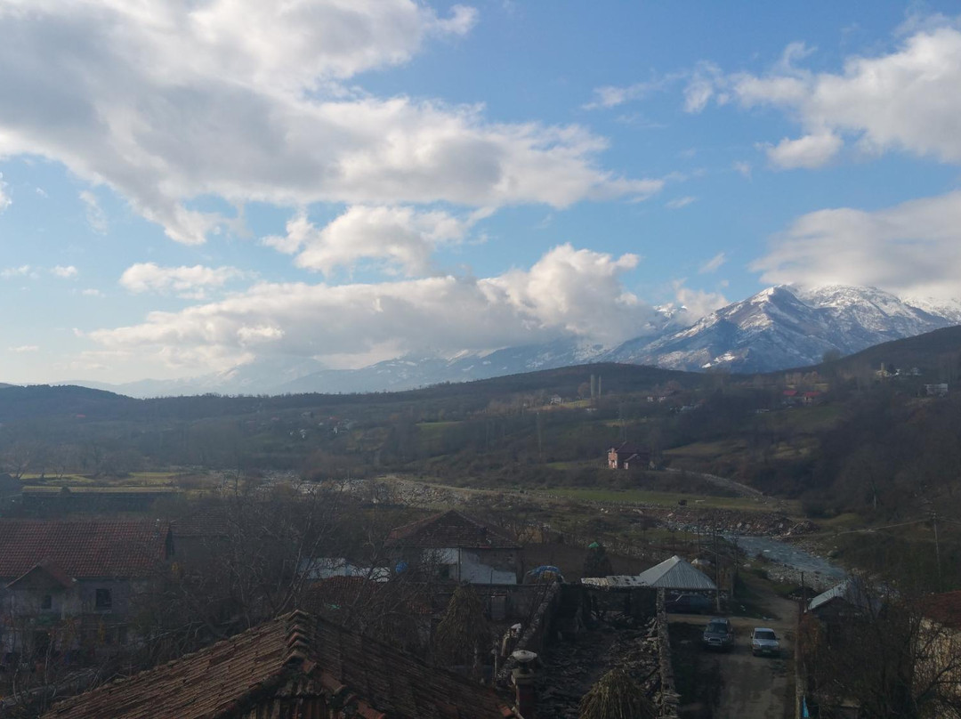 null-Tropoje