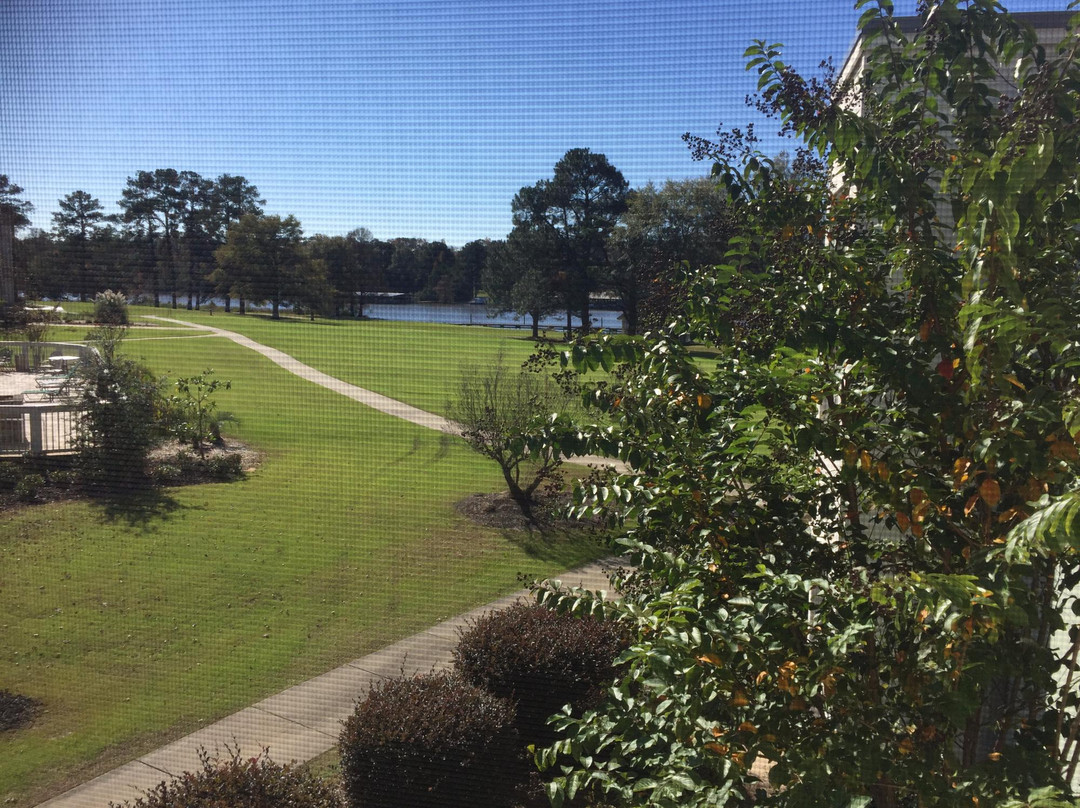 Lake Blackshear Resort Golf Club景点图片