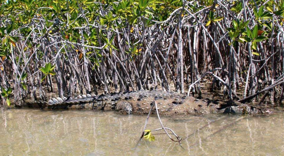 Green Paddle Sian Kaan Tours-锡安卡恩必去景点