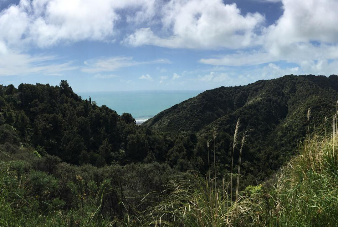 Whitecliffs Walkway-新普利默斯必去景点