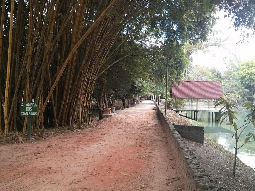 Parque Ambiental Municipal Adhemar Monteiro-Paragominas必去景点