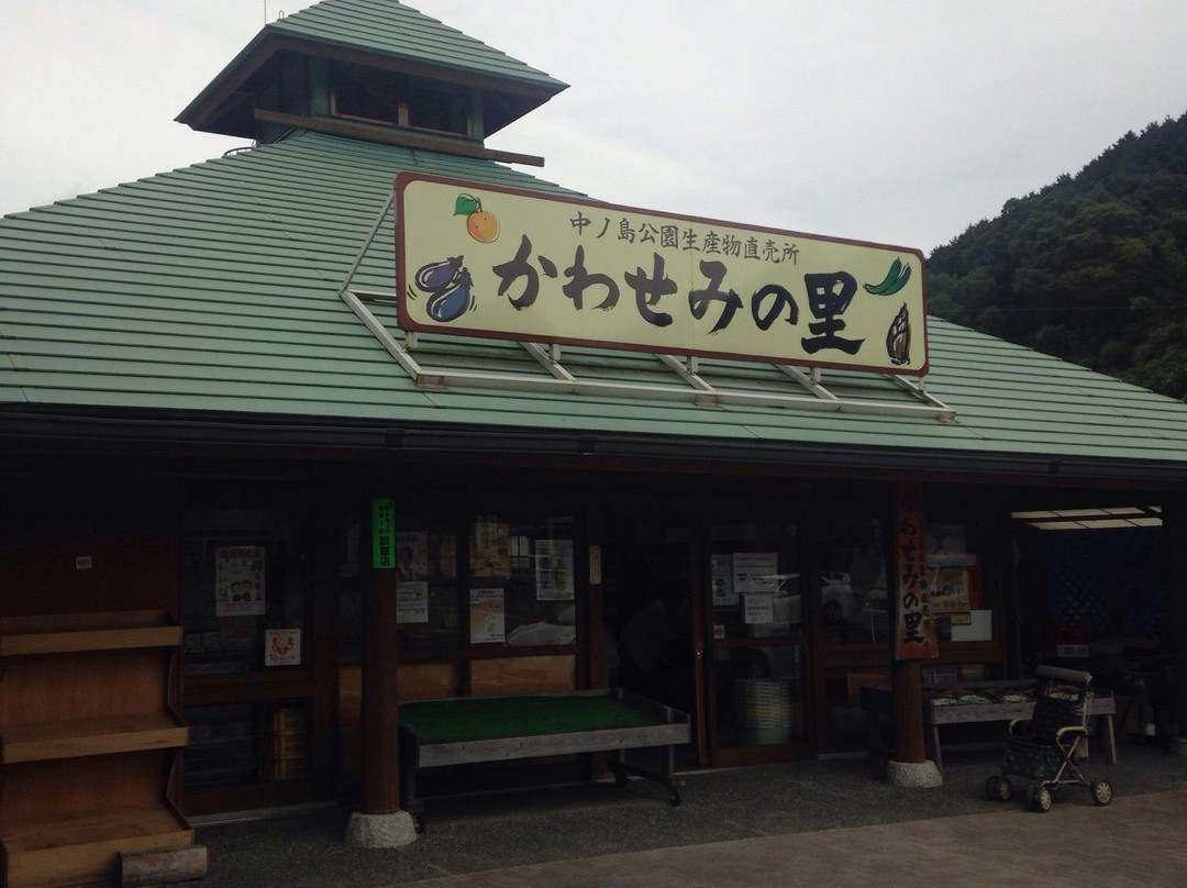 Nakanoahima Park景点图片