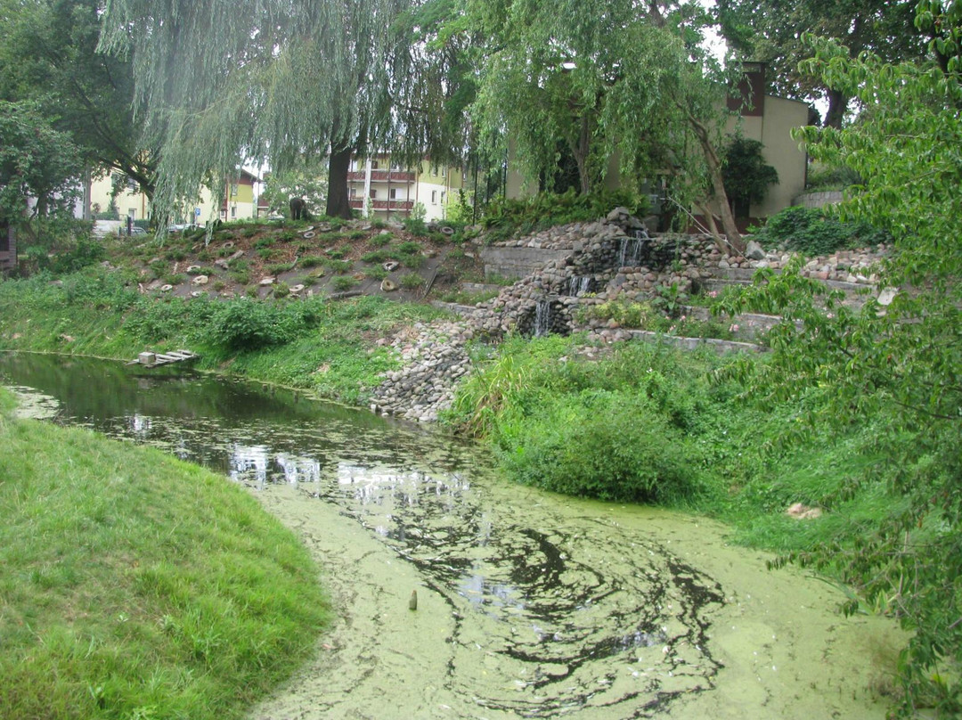 Zoo & Botanical Garden景点图片