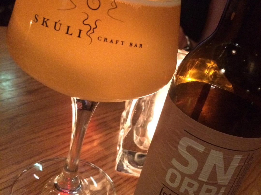 Skuli Craft Bar-雷克雅未克必去景点