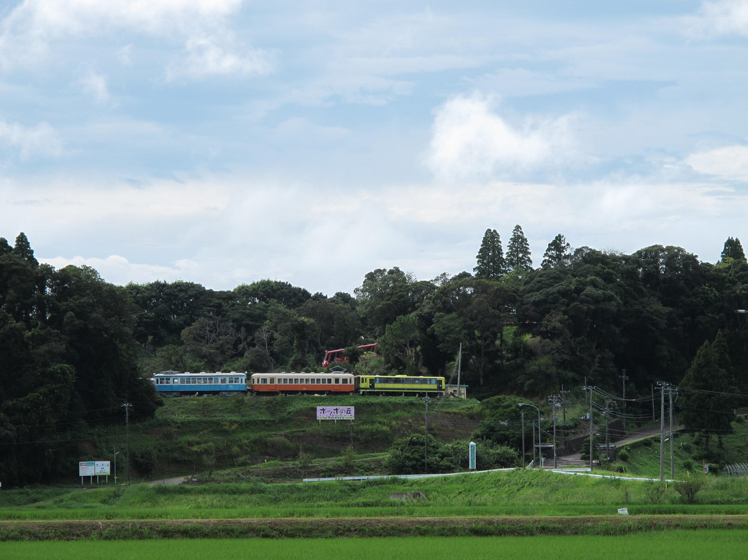 Isumi Poppo no Oka-夷隅市必去景点