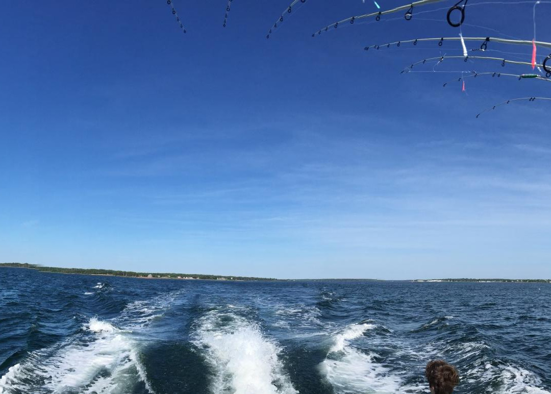 Tightline Tours-Montague必去景点