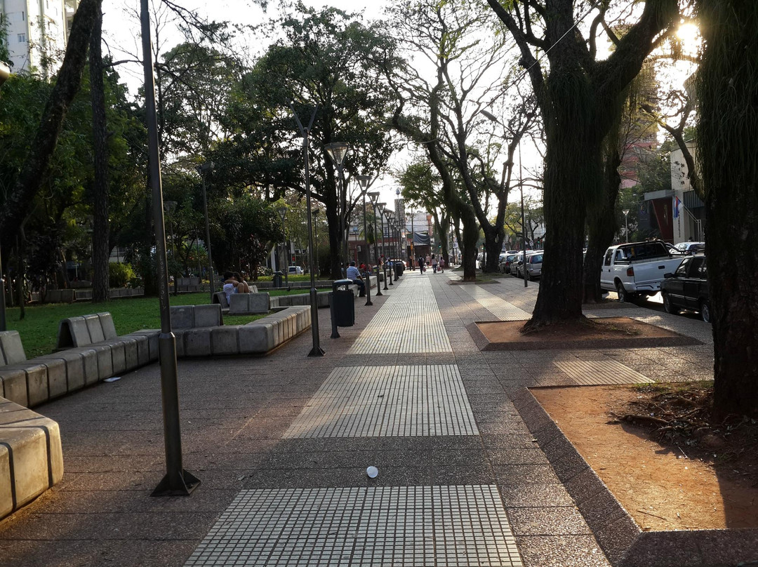 Plaza San Martin景点图片