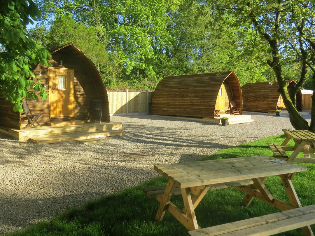 Clarion Lodge Campsite