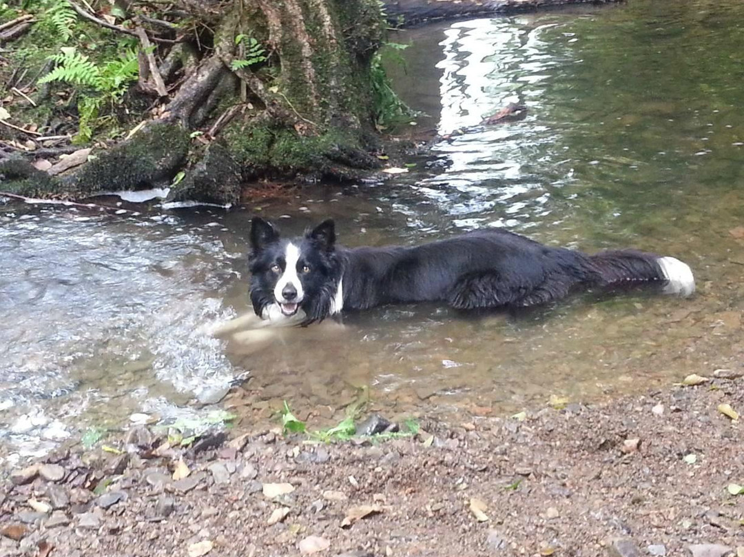 Hotel-Restaurant Zur Post主图