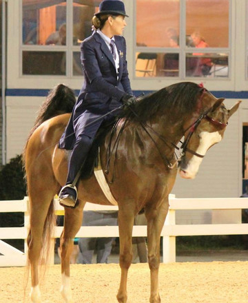 Gold Leaf Training-Kernersville必去景点