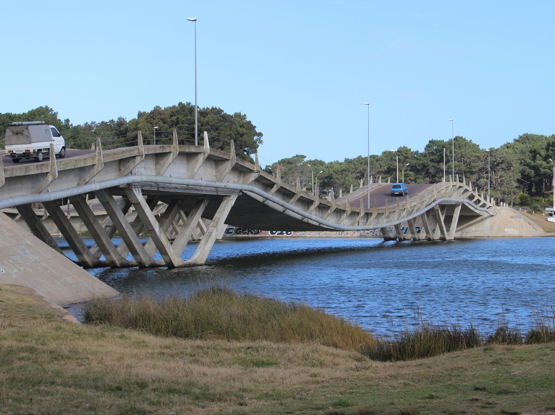 Puente Leonel Viera景点图片