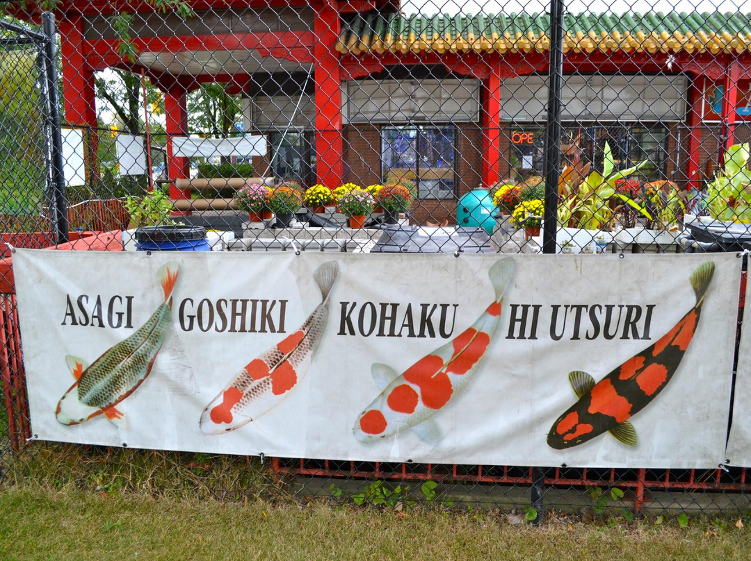 Mississauga Chinese Centre-米西索加必去景点