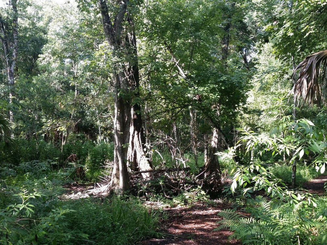 Lake Lotus Nature Park-阿尔塔蒙特斯普林斯必去景点