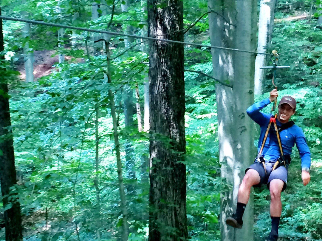 Lark Valley Zip Lines景点图片