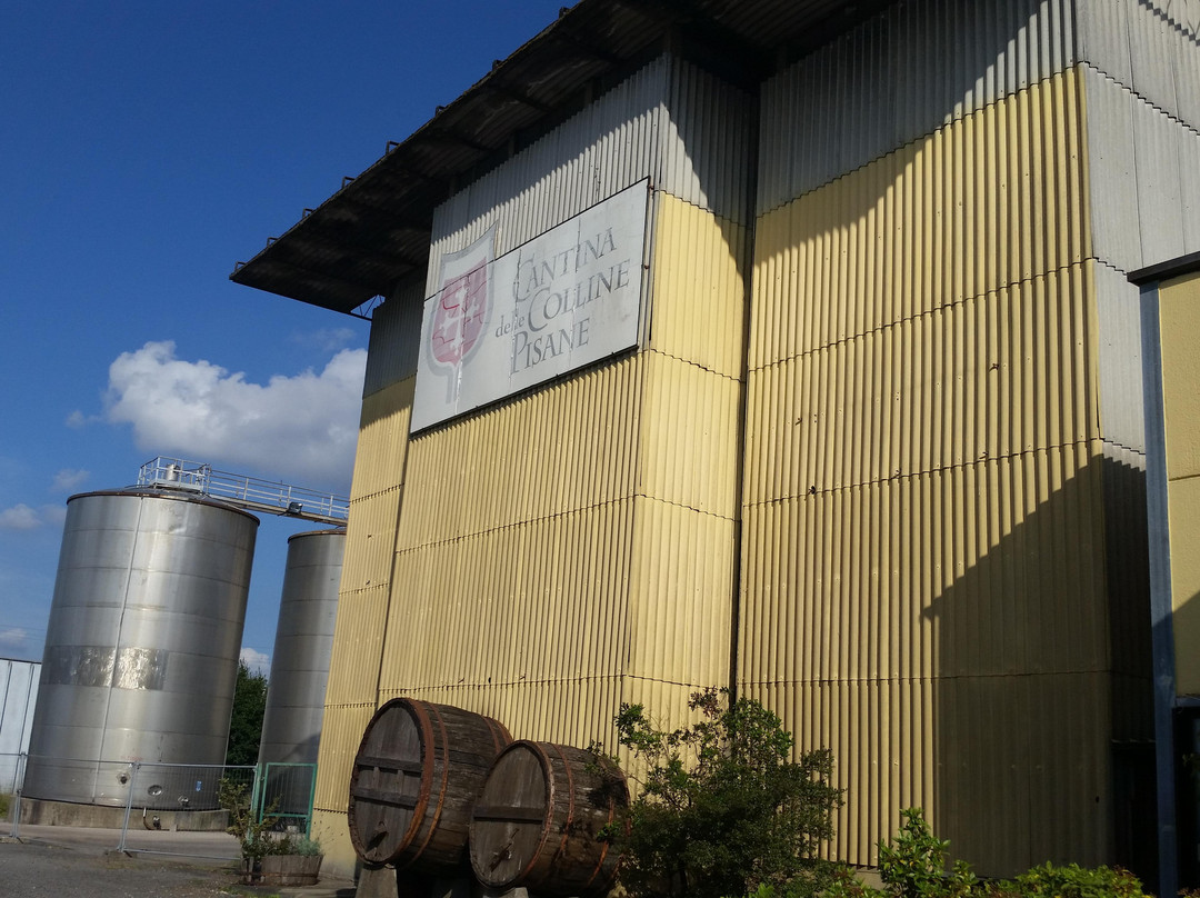 Cantina Delle Colline Pisane景点图片