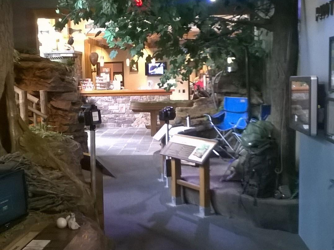 The Wildlife Center at Sinnemahoning State Park景点图片