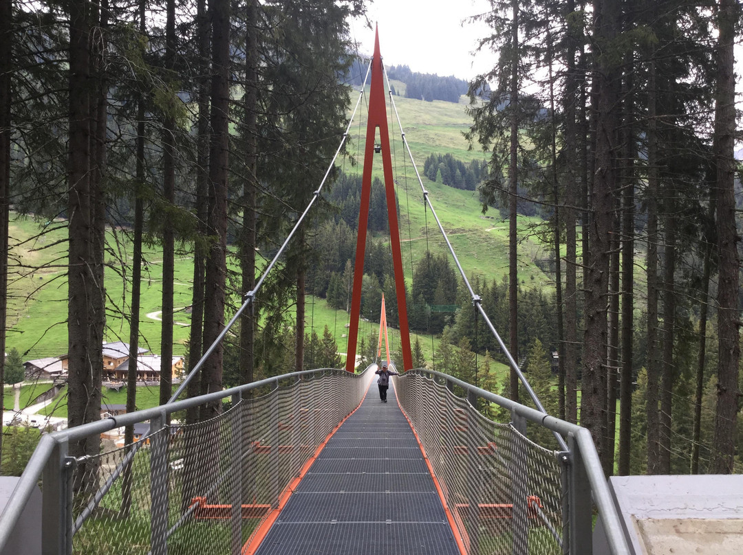 Baumzipfelweg景点图片