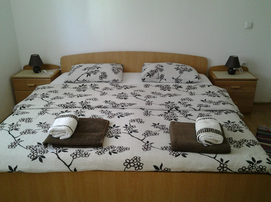 Guest House Olbina主图