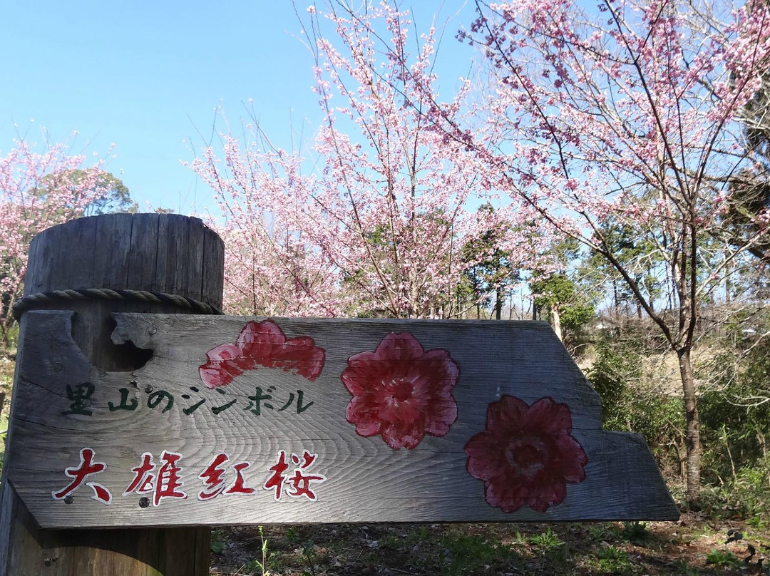 Hanasaku Satoyama Walk-南足柄市必去景点
