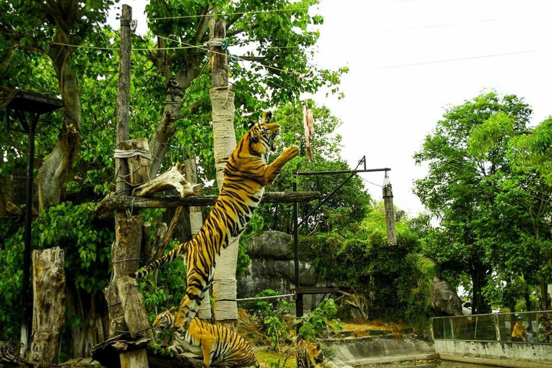 Songkhla Zoo景点图片