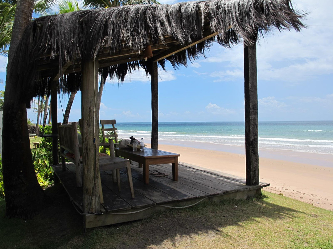 Tikal Restaurante主图