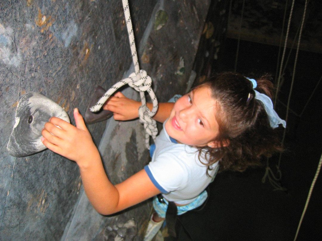 Of Rock & Chalk Indoor Rock Climbing Gym-Newmarket必去景点