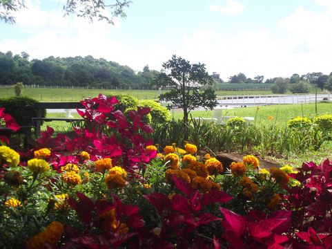 Vinícola Fin-Entre-Ijuis必去景点