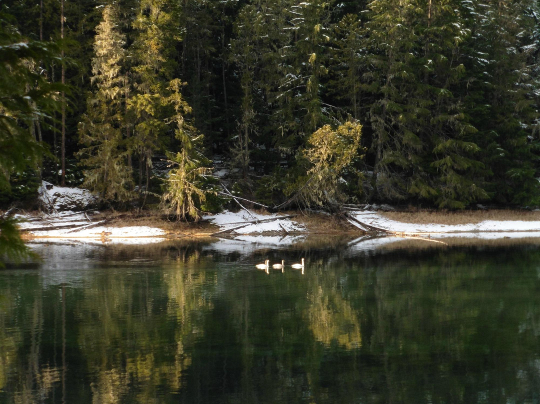 Slocan Valley Rail Trail景点图片