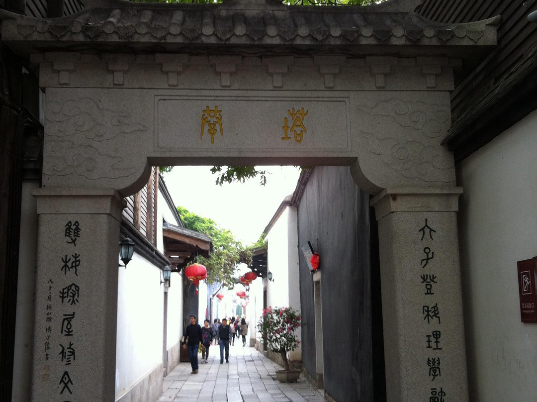 塔巷景点图片