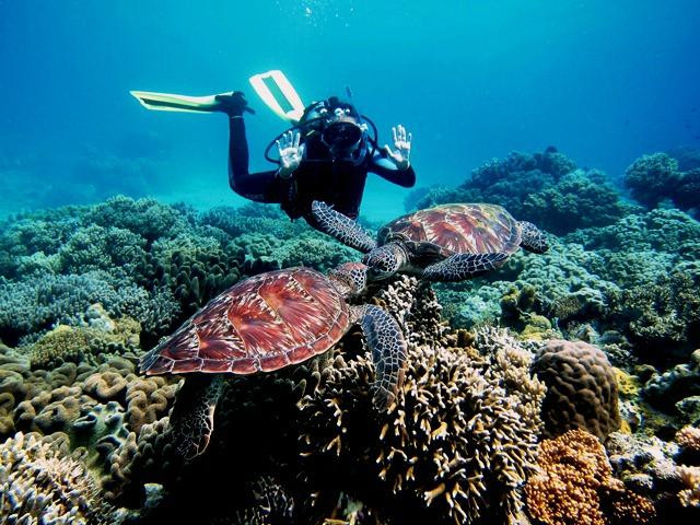 Alcoy Fun Divers-Alcoy必去景点