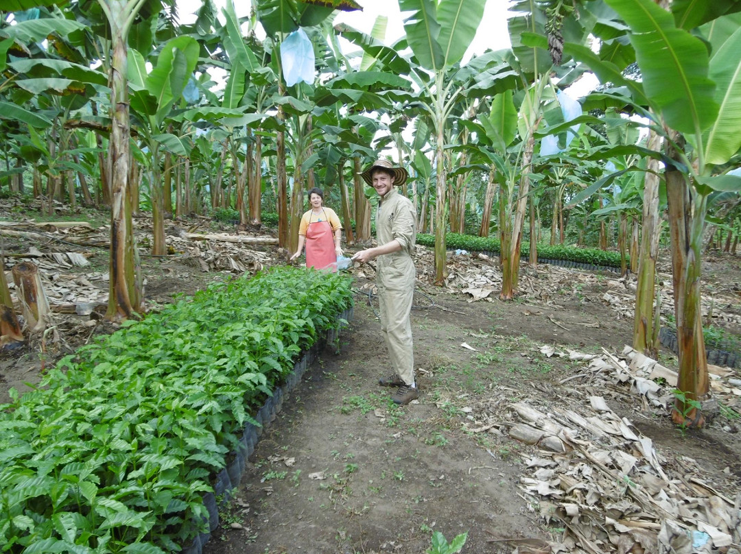 Experiencia Cafetera-Pijao必去景点