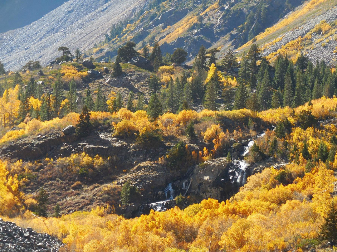 Lundy Lake-利韦宁必去景点