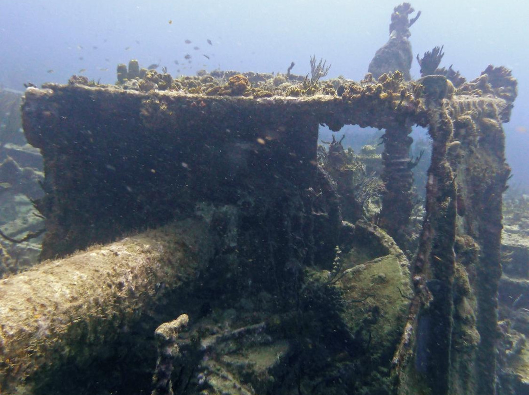 Rhone National Marine Park景点图片