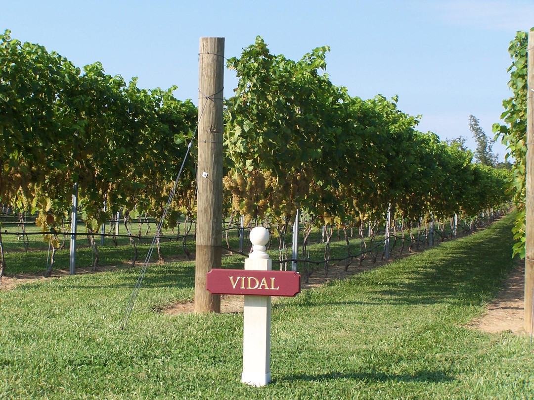 Vault Field Vineyards-Kinsale必去景点