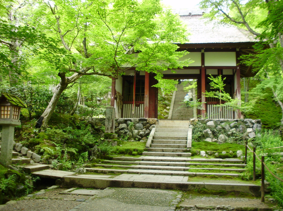 常寂光寺景点图片