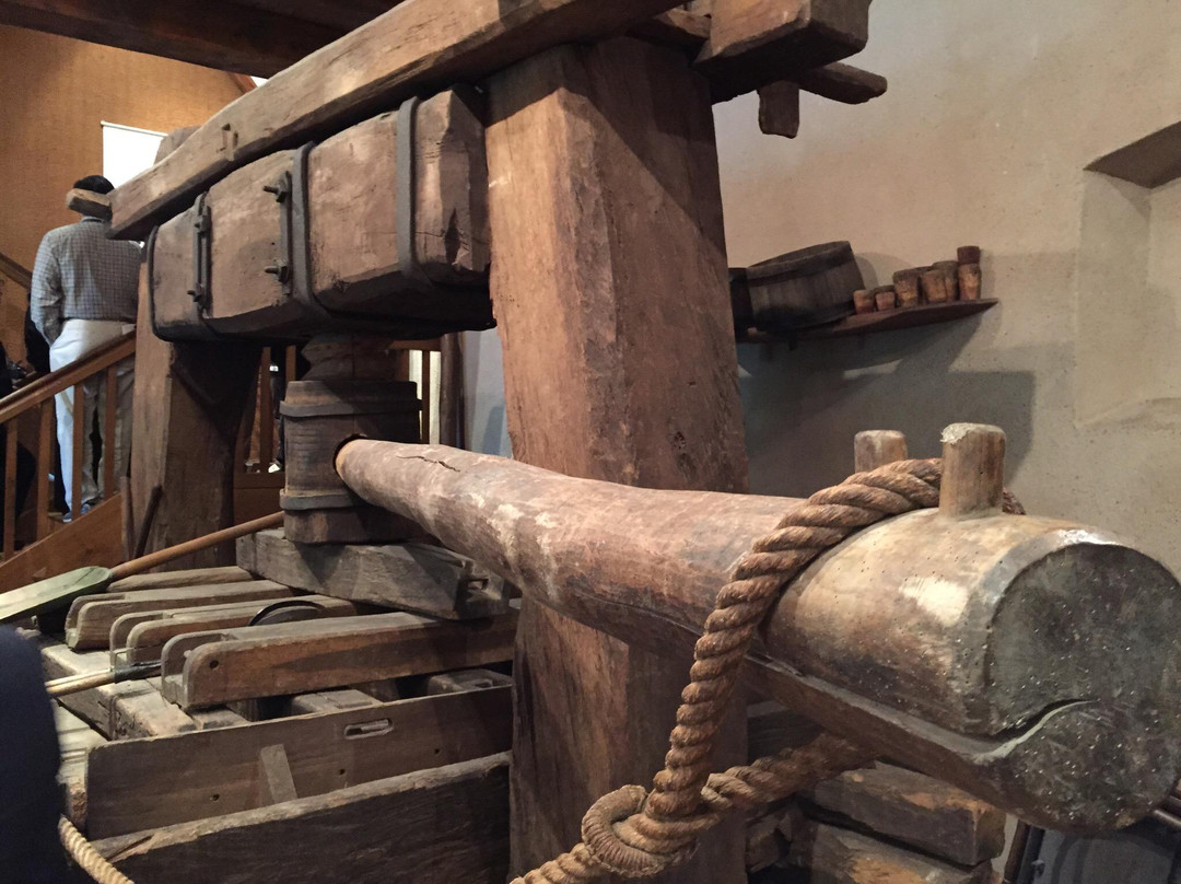 Musee du Vignoble Et des Vins d'Alsace景点图片
