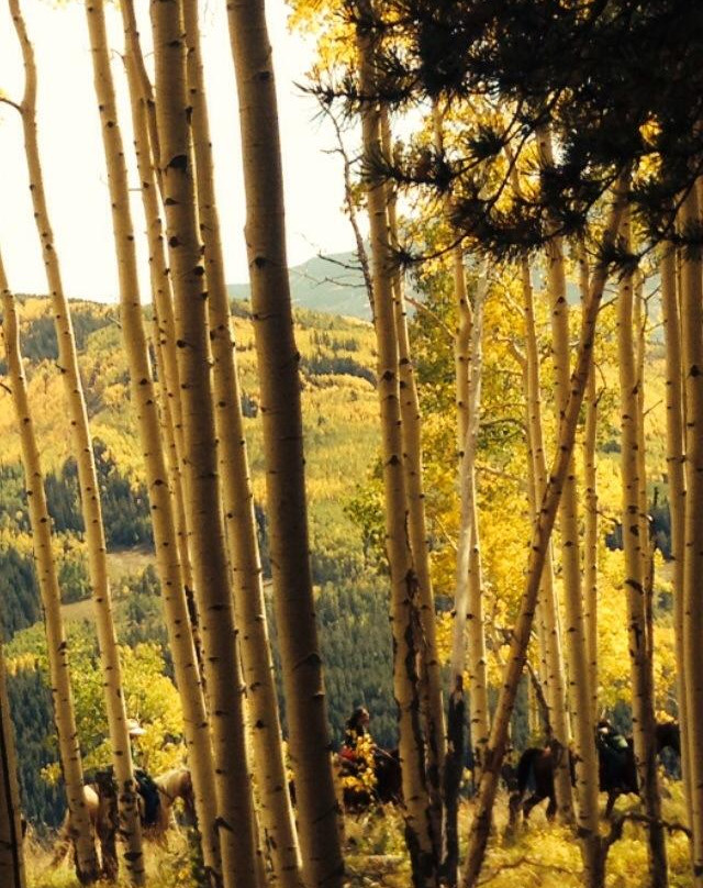 Fantasy Ranch Outfitters-克雷斯特德比特必去景点