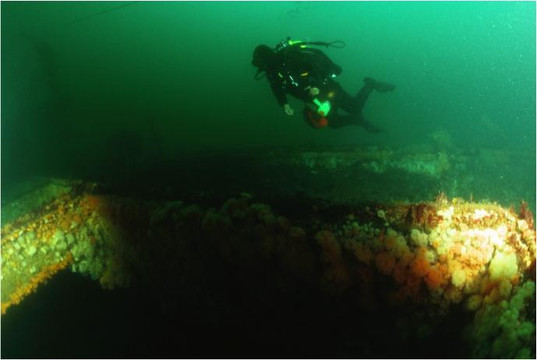 Lochaline Dive Centre - Day Tour-Lochaline必去景点