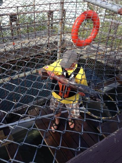Whitehorse Fishway-白马市必去景点