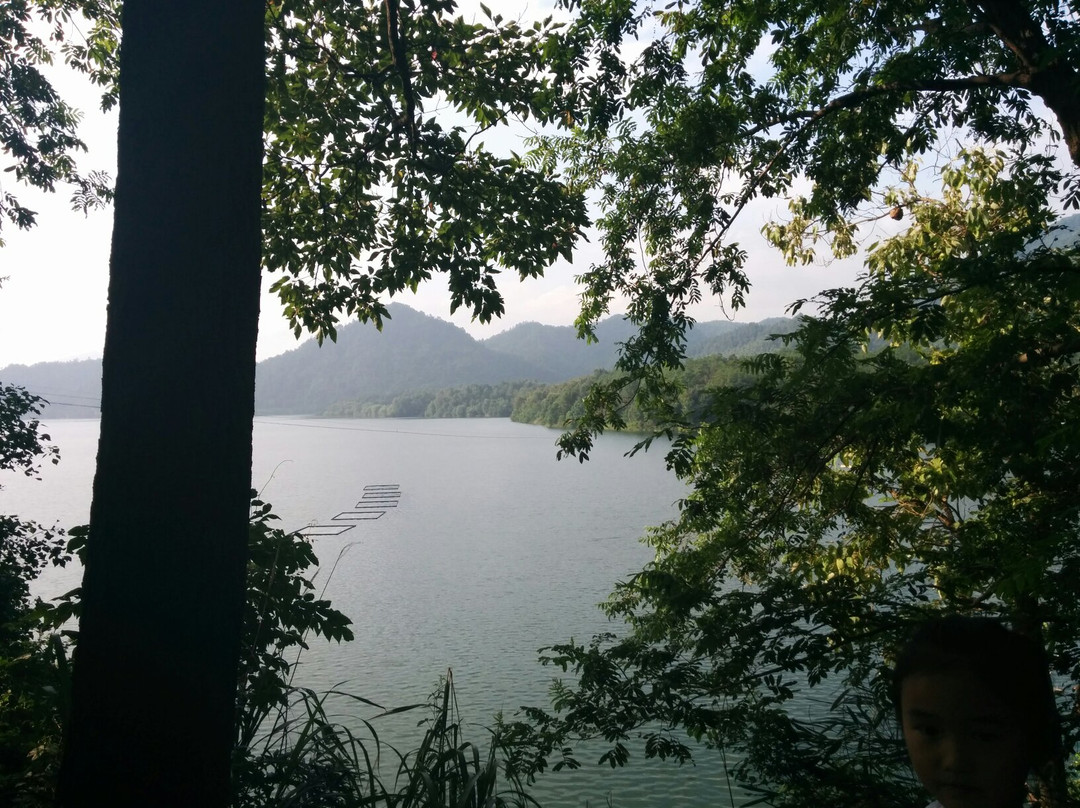 太平湖湿地-黄山市必去景点