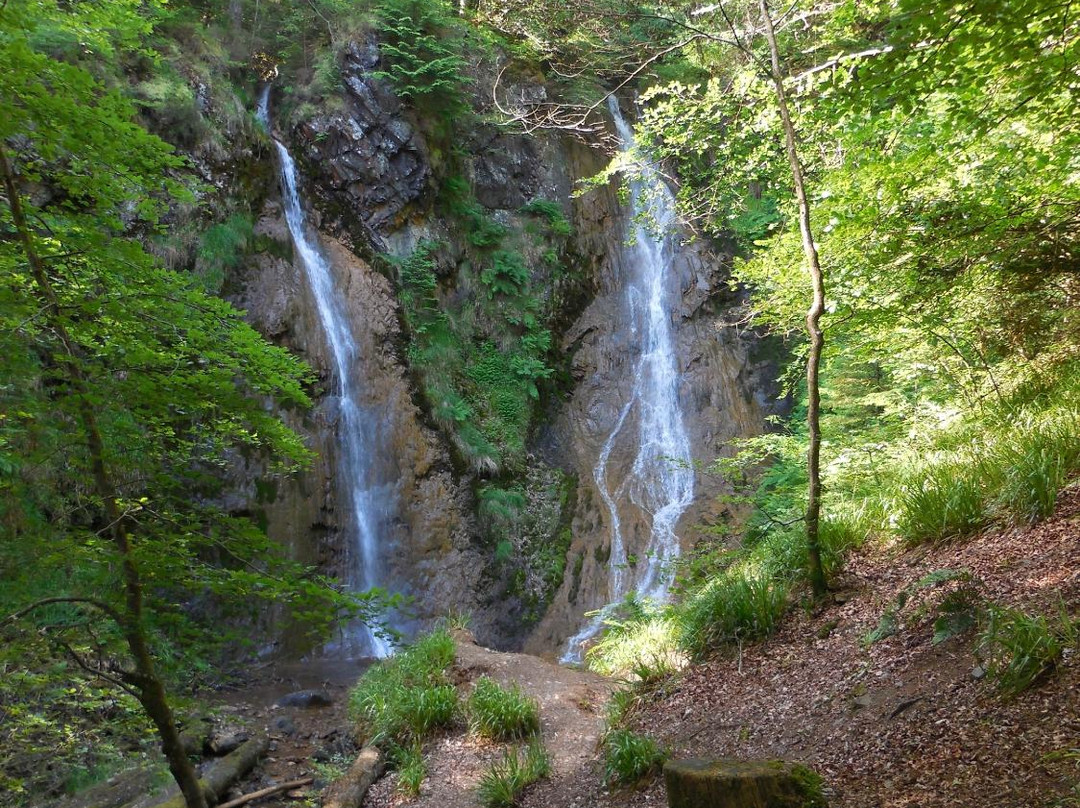 Grey Mare's Tail Waterfall-Moffat必去景点