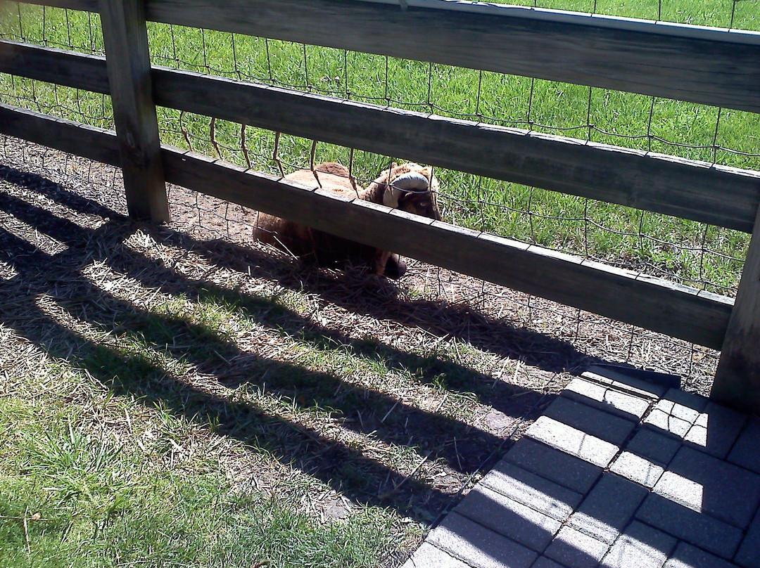 Lake Metroparks Farmpark-Kirtland必去景点