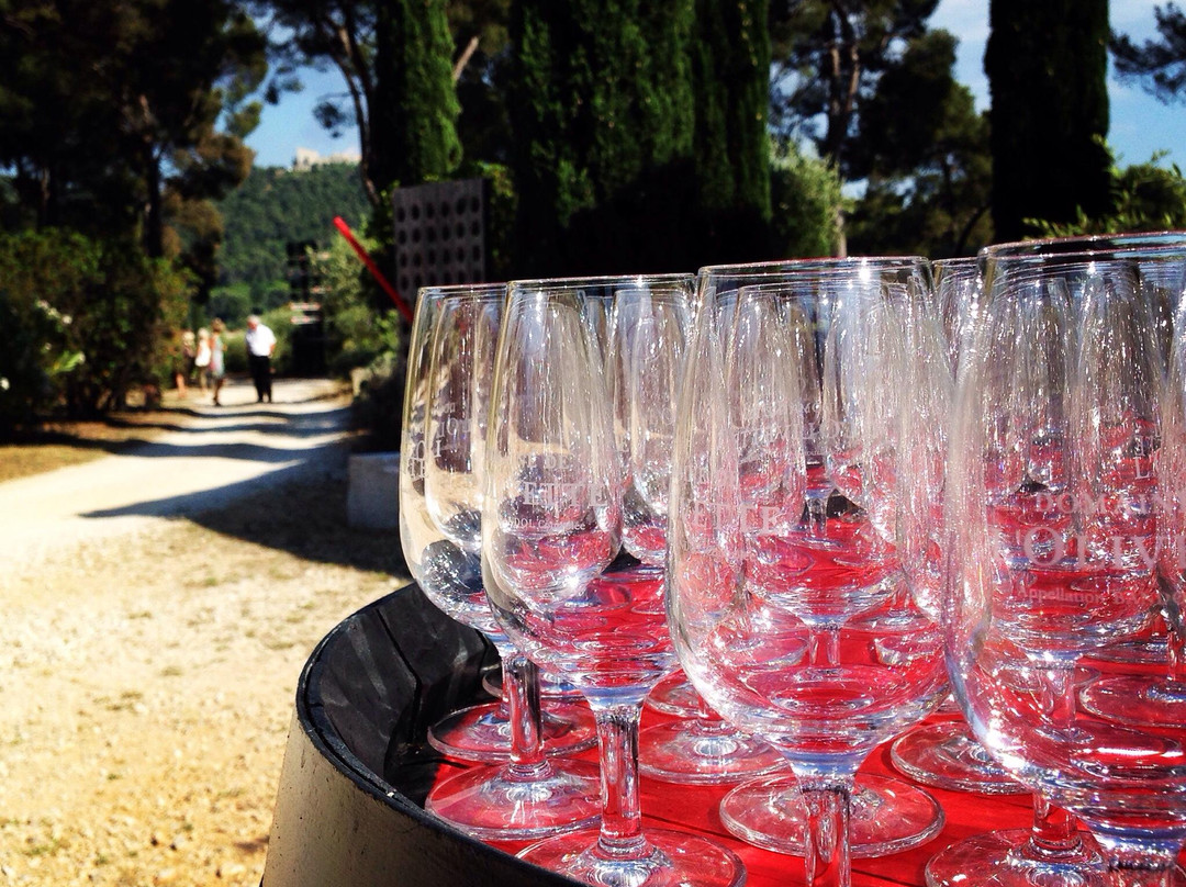 Domaine de l'Olivette景点图片